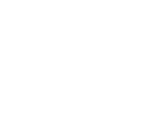 logo_techview_vert wh2