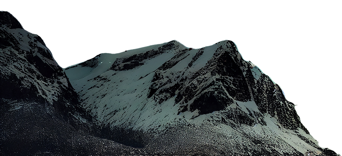 mt1